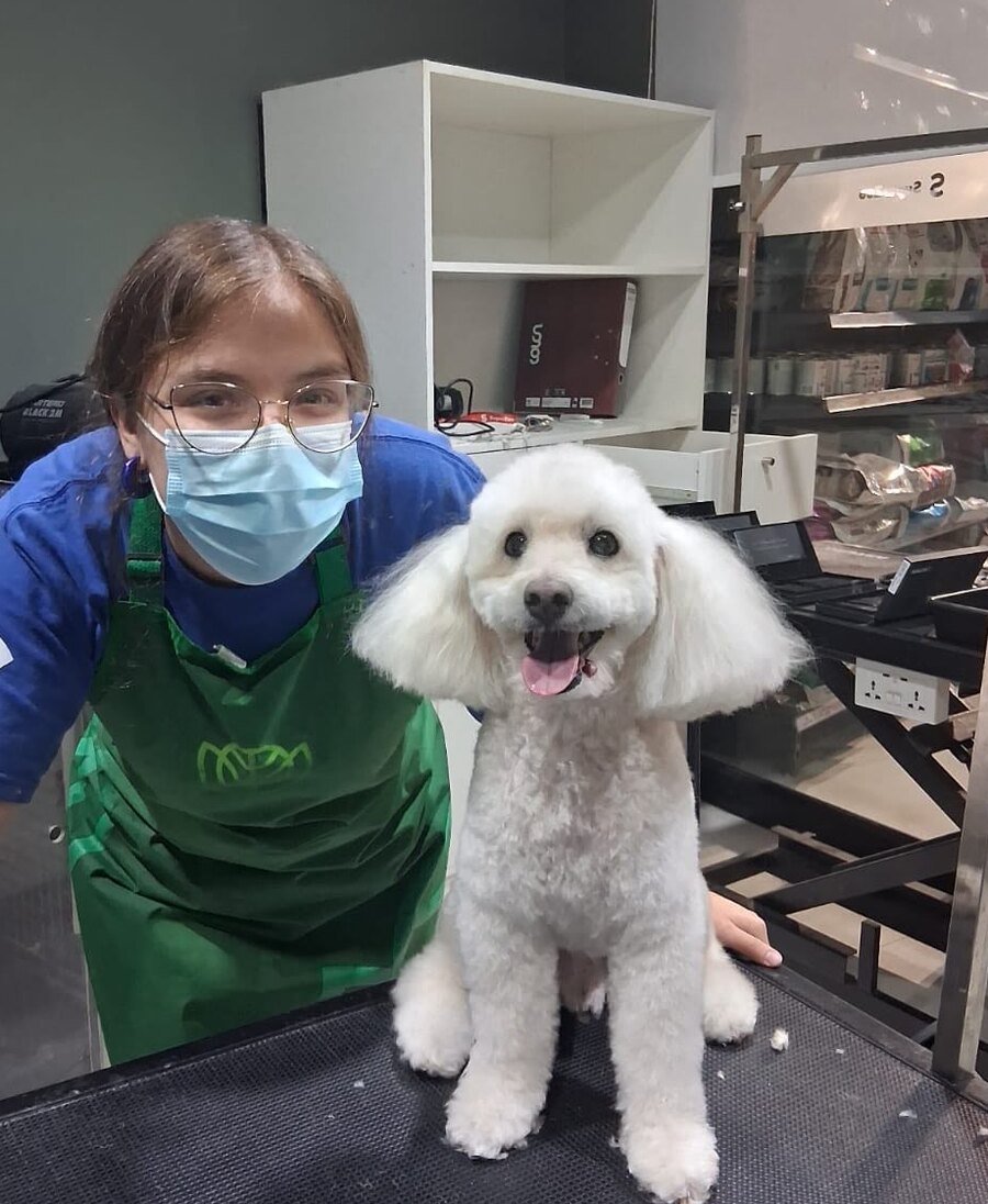 Catalina con poodle